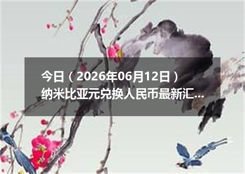 今日（2026年06月12日）纳米比亚元兑换人民币最新汇率行情