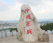 翠云天气预报